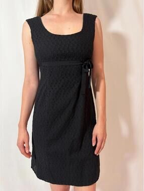 Cottagecore Black Ann Taylor Picnic Mini Dress